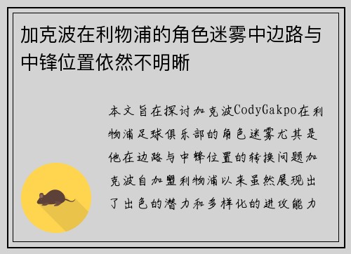 加克波在利物浦的角色迷雾中边路与中锋位置依然不明晰 加克波在利物浦的角色迷雾中边路与中锋位置依然不明晰